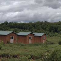 Cabin 6